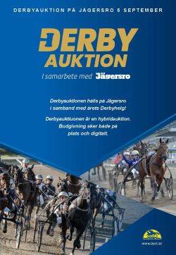 Derbyauktion Online!