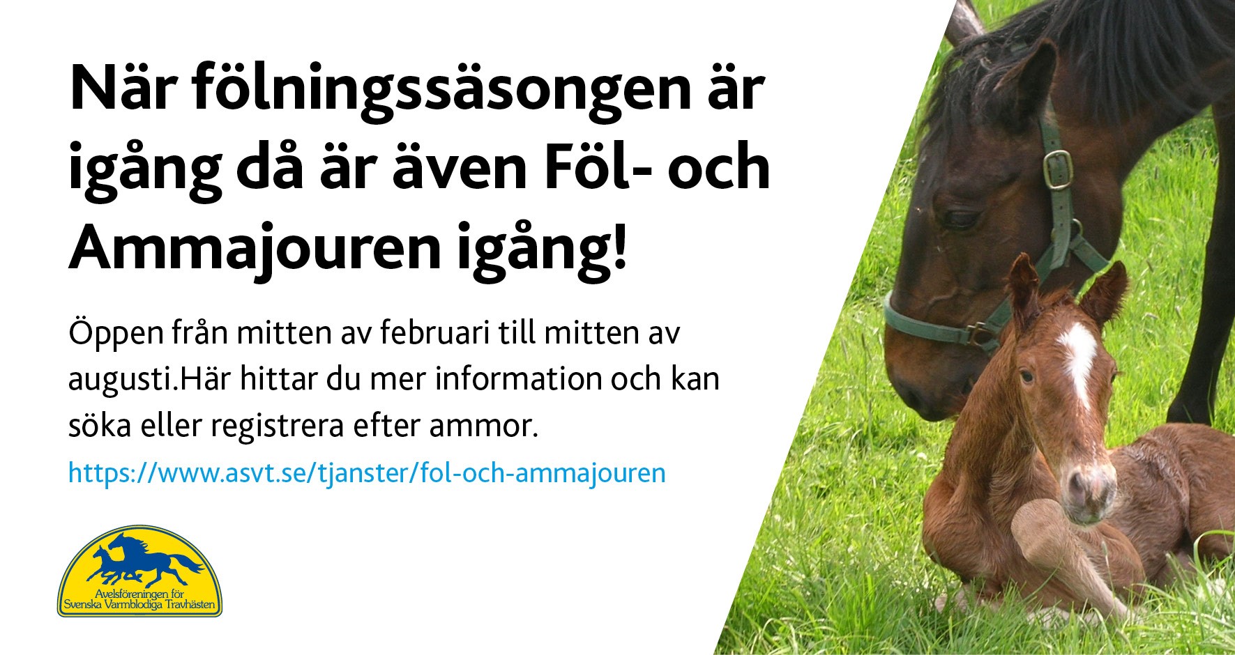 Föl- och Ammajouren stänger för den här säsongen!