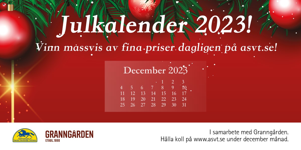 Vi tävlar om en tidig julklapp dagen innan julafton!