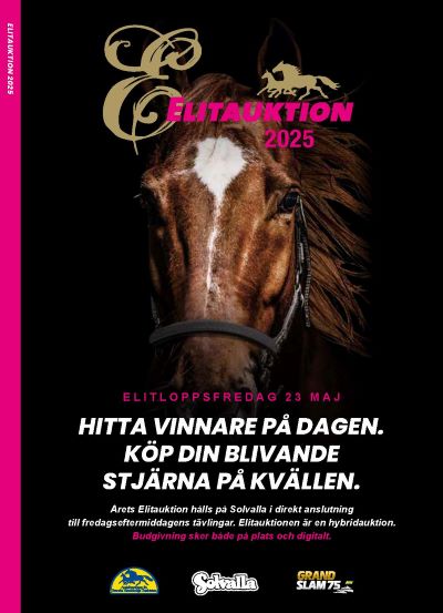 Nu kan du beställa hem Elitauktionskatalogen
