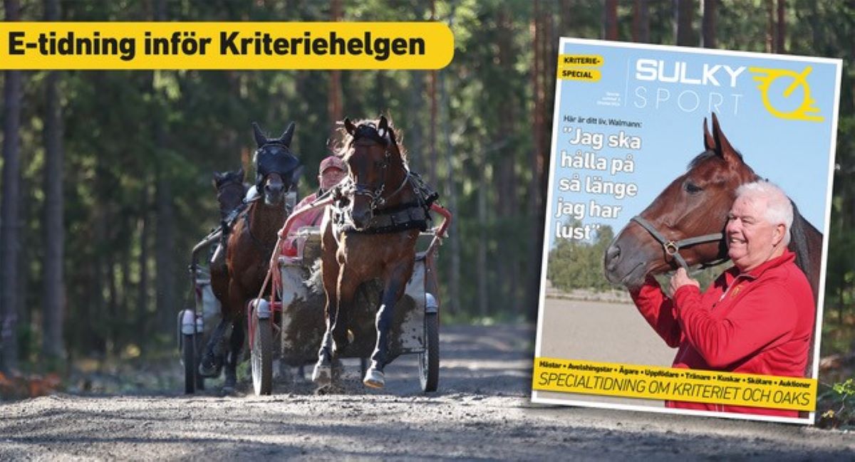 Till alla medlemmar i ASVT!