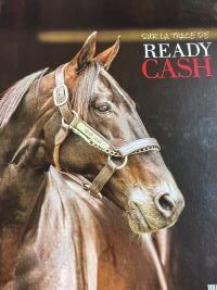 Ready Cash bok hem
