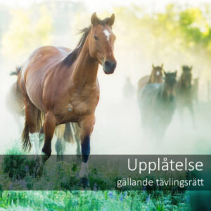 Upplåtelse gällande tävlingsrätt