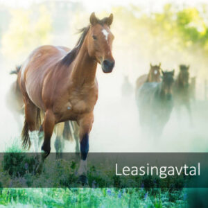 Leasingavtal
